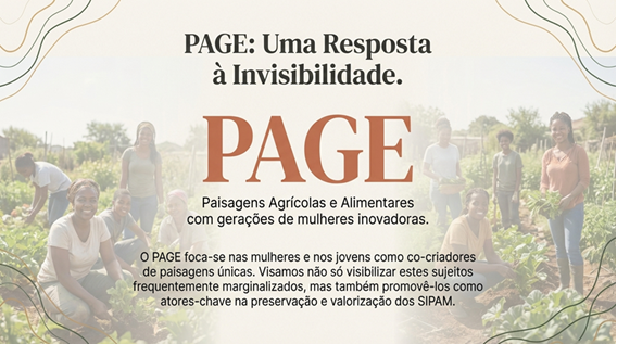 respostainvisibilidade